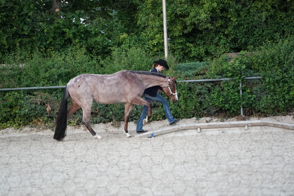 s_A9_05373.jpg